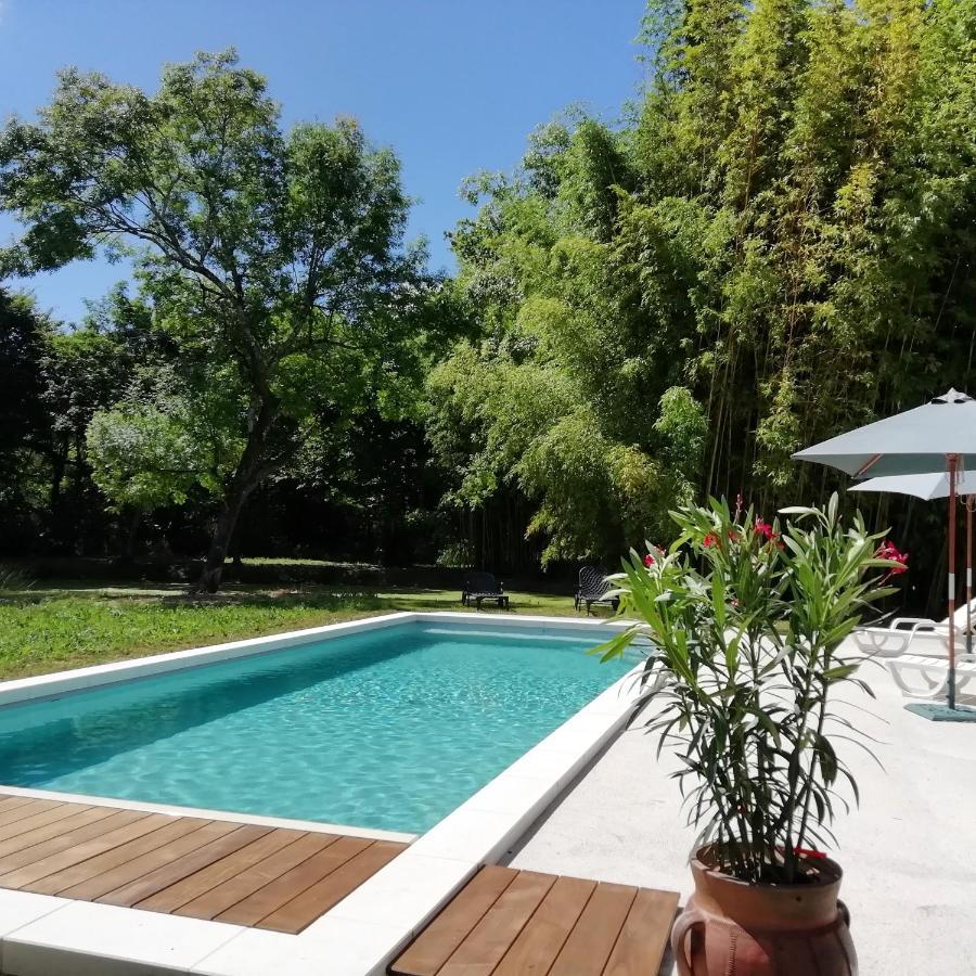 Chateau Des Salles Saint-Fort-sur-Gironde Екстер'єр фото