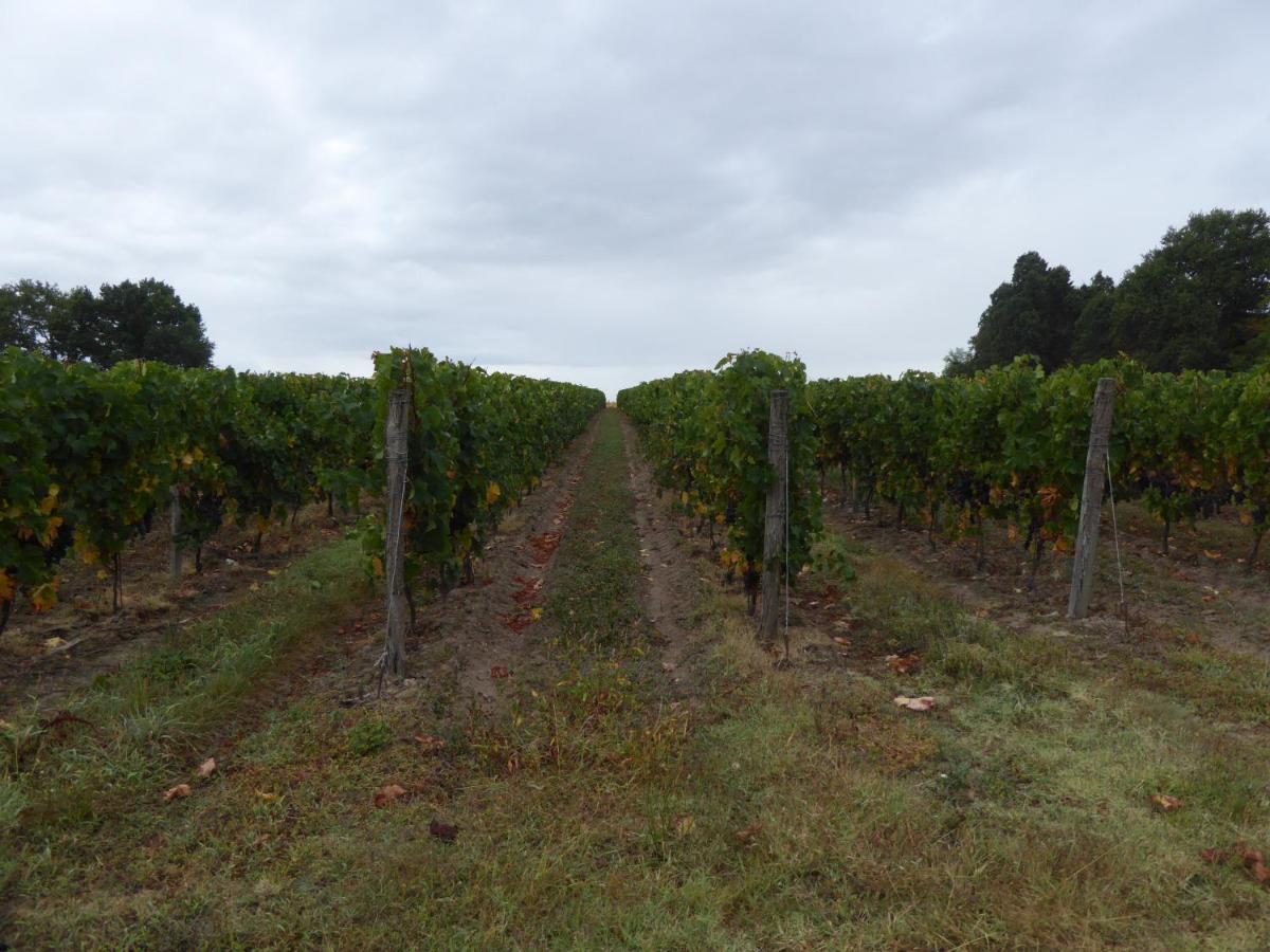 Chateau Des Salles Saint-Fort-sur-Gironde Екстер'єр фото