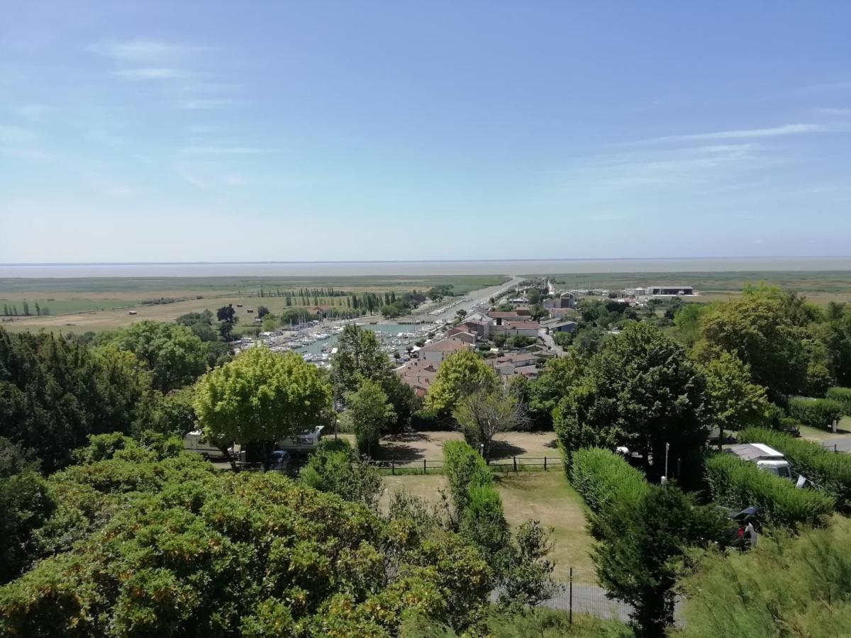 Chateau Des Salles Saint-Fort-sur-Gironde Екстер'єр фото